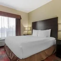 Best Western Plus Red Deer Inn & Suite, ξενοδοχείο σε Red Deer