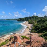 Turtle Beach Hotel Calibishie, hotel near Douglas-Charles Airport - DOM, Woodford Hill