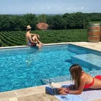 domaine de codeval, hotel in Fronton