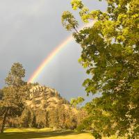 Stylish, artistic and cosy private guest house, hotel near Kelowna International Airport - YLW, Kelowna