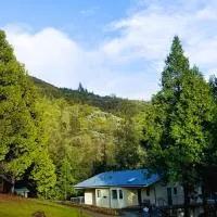 Starlink Mariposa Yosemite mountain retreat, hotel en Mariposa