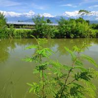 Bhoomi Organics Farmstay, hotel poblíž Pokhara International Airport - PHH, Pokhara