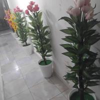 قسنطنة, hotel dicht bij: Internationale luchthaven Mohamed Boudiaf - CZL, Constantine