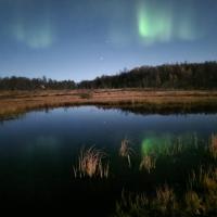 Aurora view apartment III - close to everything, hotel near "Tromsø Airport, Langnes" - TOS, Tromsø