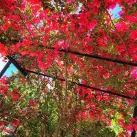 Minturno में, होटल The Aunt's Garden