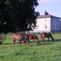 Glebe House, hotell i Taghshinny