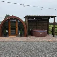 Blackditch hideaway cabin, Hotel in Kildare
