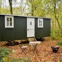Shepherd Hut in the woods, hotel 