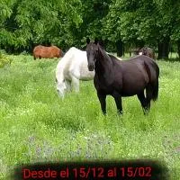 Casa de campo Spaequino La Colorada, hotel u gradu Tomás Jofré