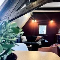 T2 cosy charme alsacien poutres apparentes au centre de Barr, hotel in Barr
