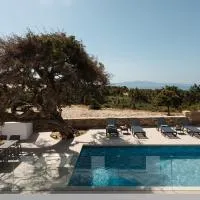 Ammolofos Luxury Apartment & suites, hotel u Naksosu