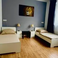 Meyben Apartment Mannheim Küche, TV, Waschmachine, hotel en Mannheim