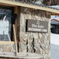 Eiger Chalet, hotel i Perisher Valley