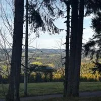 Naturfreundehaus Fahrenberg, ξενοδοχείο σε Breitnau