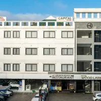 Hotel Woodlark, Hotel in Kattappana