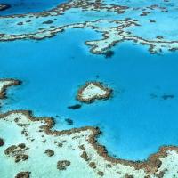 Tropical Mango House Stay, hotel poblíž Whitsunday Airport - WSY, Airlie Beach