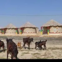 Rann Roshni homestay, готель у місті Bherandiāla