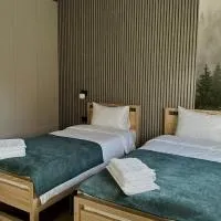 Апарт-готель "Модерн 24", hotel em Netishyn