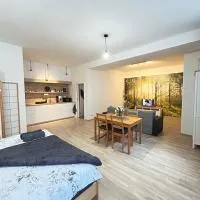 Ubytování v srdci Písku, hotel u gradu Pisek