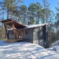 Lux Blue Ridge Cabin, Hot tub, Swing, PingPong!, hotel v destinácii Mineral Bluff
