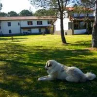 Artenatura BeB, hotel Terranuova Braccioliniben