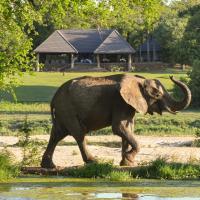 Inyati Game Lodge, hotel poblíž Londolozi Airport - LDZ, Sabi Sand Game Reserve