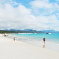 Island Orchid, hotell sihtkohas Airlie Beach lennujaama Whitsunday Airport - WSY lähedal