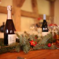 The incredible Alsatian house of the 21st century, ξενοδοχείο κοντά στο Διεθνές Αεροδρόμιο Στρασβούργου - SXB, Hangenbieten