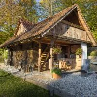 Apartma kašča – hotel w mieście Domžale