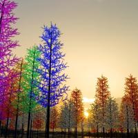 U8 Fully Air-Con Suite TAMAN BUKIT JELUTONG, SECTION U8, 40150 SHAH ALAM, hotel poblíž Letiště Sultan Abdul Aziz Shah - SZB, Shah Alam