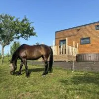 La Tiny du Rougy, hotel en Frolois