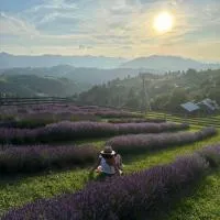 Lavender Valley, hotel Perekrestnoye városában
