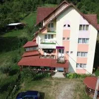 Pension Nicoleta, hotel u gradu 'Costeşti'