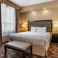 Best Western PLUS Fox Creek, hotel i Fox Creek