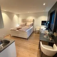 Lillestrøm, studio apartment、Kjellerのホテル