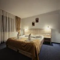 Hotel Claris, hotel v destinaci Văliug