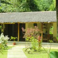 Payapa garden Nagtabon Beach, hotel en Puerto Princesa