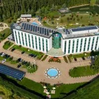 AN Park Hotel Milano Settala, отель в городе Сеттала