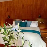 Hotel Boutique Casa Gopar, hotel en Ocotlán de Morelos