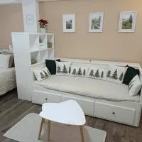 Apartmán 29 LANOVKA, hotel di Jáchymov