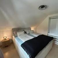 Faraway Homes Studio Bad Leonfelden #6, hotell sihtkohas Haid