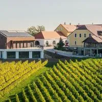 Wine & boutique hotel Terbotz, מלון בŠtrigova