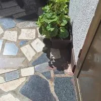 Apartman Villy 2, hotel i Jadranovo