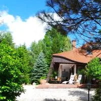 Dom na Leśnym Zaciszu 2 – hotel w mieście Dziwiszów
