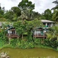 Rainforest Nest, hotel u gradu Deniyaya