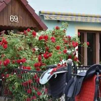 Agroturystyka Przy Stajni, hotel a Zbylutów