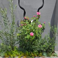 Karoovlaktes，位于Prieska普里斯卡机场 - PRK附近的酒店