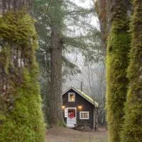 Sunwolf Riverside Cabins, hotel in Brackendale