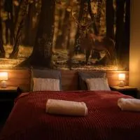 Domki Natura Zator, hotel u gradu Graboszyce