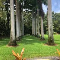 Royal Palm Cottage Hawaii, ξενοδοχείο σε Hakalau